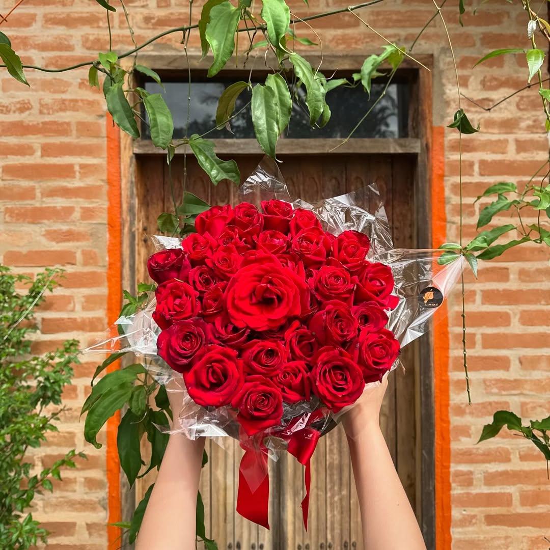 Banner AnyCar Informativo